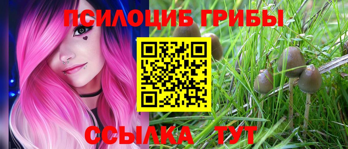 Псилоцибиновые грибы MAGIC MUSHROOMS Бердск